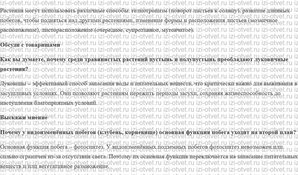 ГДЗ по биологии 6 класс учебник Сивоглазов, Плешаков §6. Многообразие побегов рисунок 2