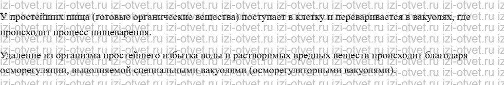 ГДЗ по биологии 7 класс учебник Шаталова, Сухова § 8. Животные, состоящие из одной клетки рисунок 2