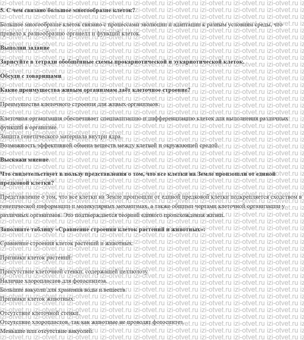 ГДЗ по биологии 9 класс учебник Сивоглазов, Каменский § 5. Многообразие клеток рисунок 2