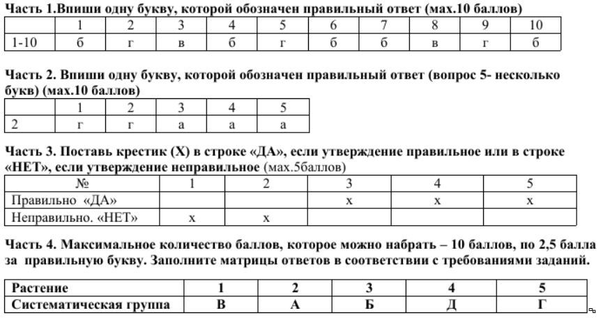 Можно ли из фотографии сделать схему для вышивки тест 7 класс ответы