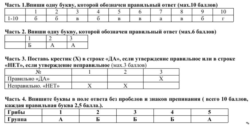 Милый коля бирюков ты говоришь что любишь читать пишешь план текста